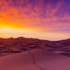 purpleworld9