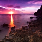purpleworld11