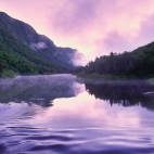 purpleworld15