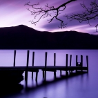 purpleworld19