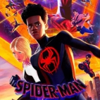 spiderman 24