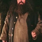 potter 12