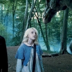 potter 20