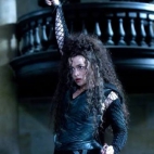 potter 22