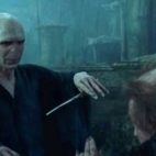 potter 24