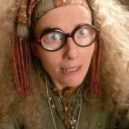 potter 31