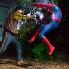 spiderman 14