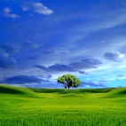 Tapeta Windows XP