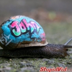 Graffiti na ślimaku