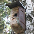 Antywłamaniowy domek dla ptaków