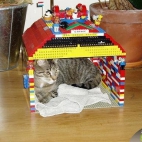Koci LEGO domek