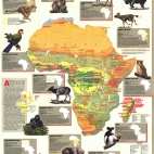Africa Threatened 1990