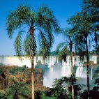 Wodospad Iguassu 2