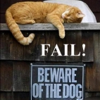 Beware of dog cat fail