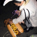 hot-dog xxxx