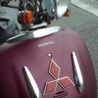 honda xxx