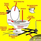 opis toalety xxx