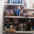fridge contents cat