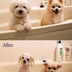 przed i po kąpieli