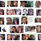 Bush i jego klony