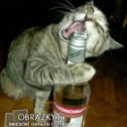 kot- otwieracz do wódki