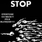 Stop! It's a blowjob ;D