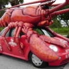 auto-krab