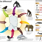 Człowiek a zwierzęta - naprawdę aż tak się różnimy?