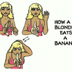 blondi i banan