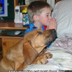 Modlitwa psa