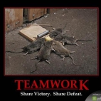 Praca zespołowa - teamwork