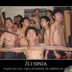prawdziwi ninja