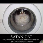 Satan cat m/