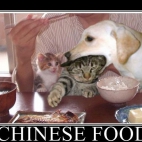 Chińskie jedzenie!!!