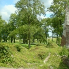 ZAmkowe ruiny w Krupem