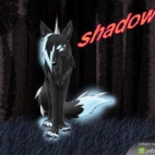 Shadow_PimPland