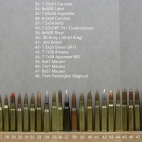 Przegląd amunicji do broni strzeleckiej stosowanej na świecie
