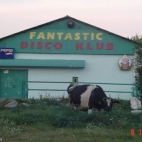 Fantastic disco club