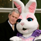 Bush anb bunny
