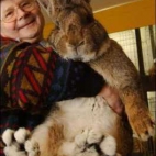 Pan z dużym królikiem