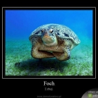 Top 1 na demotywatory.pl