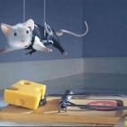 super mysz
