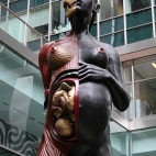 Przekrój kobiety w ciąży Niesamowite pomniki i rzeźby.