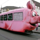 świński tramwaj