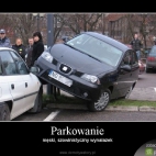 parkowanie kobiety
