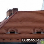 Oczy na dachu