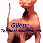 gilette xxxxx