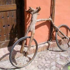 ekologiczny rower xxx