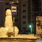 Wielka figura ze śniegu