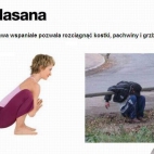 Yoga 9